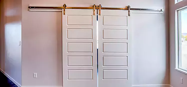 Glass Barn Door with Installation Hardware Kit Irvine
