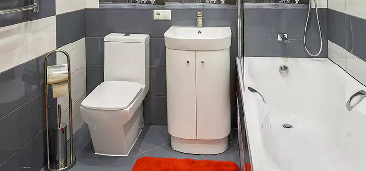 Hansgrohe Shaving Mirror Irvine